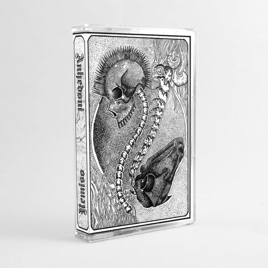 ANHEDONI / REMISO SPLIT TAPE