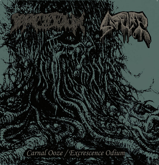 SARCOSIUM / SACCULAR - CARNAL OOZE / EXCRESCENCE ODIUM TAPE