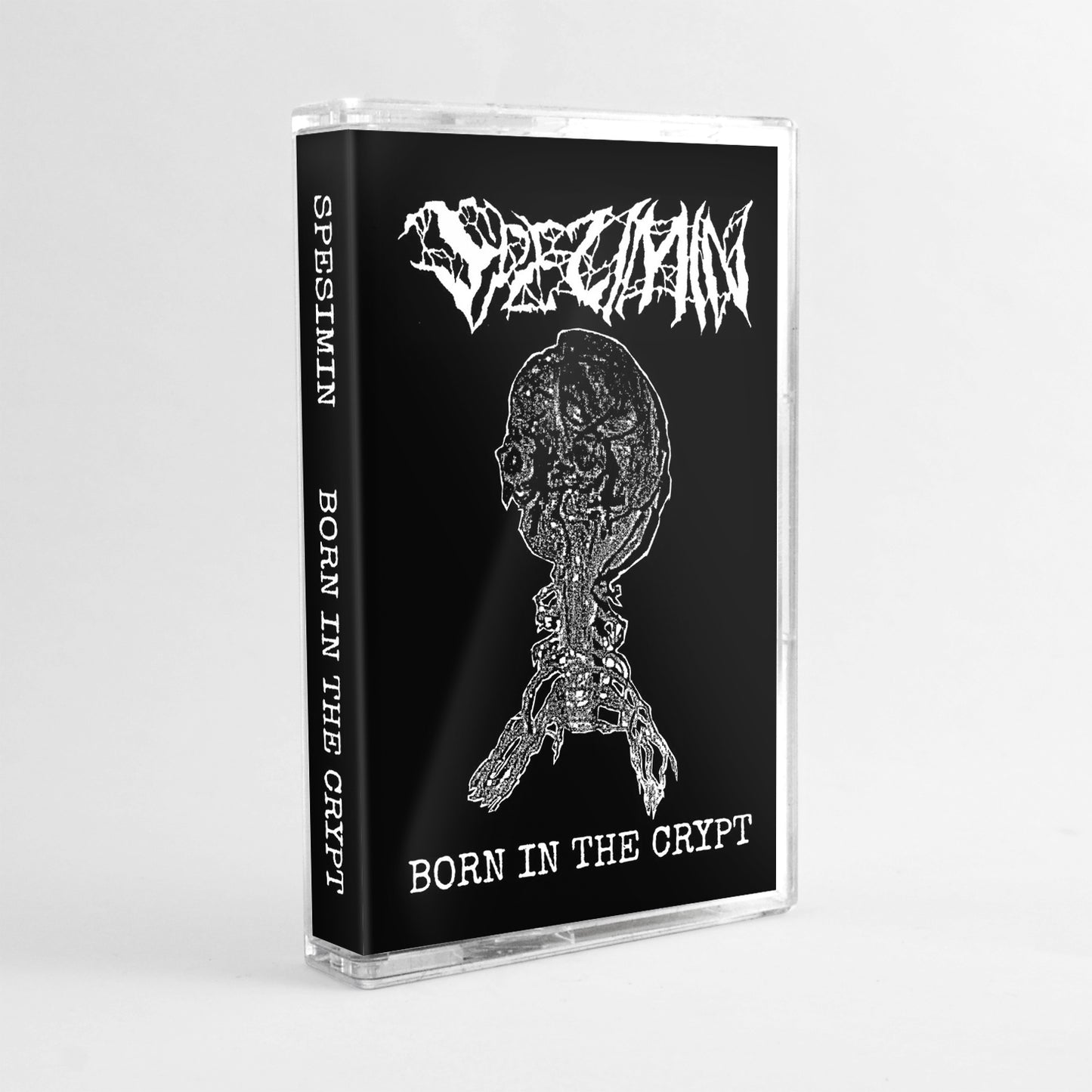 SPESIMIN - BANDE NÉE DANS LA CRYPTE